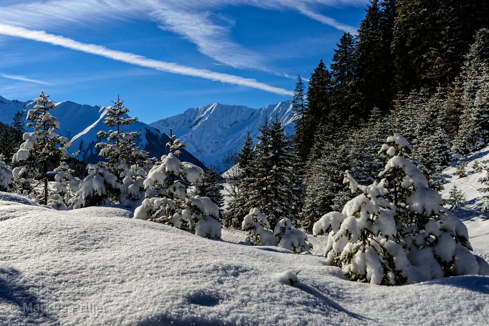 2014.01.25 150828 Ski Trail und Kelmen3000